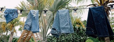 Image of four pairs of Levi's® jeans created by the Future Finish process hanging on a line of string lights with palm trees in the background.