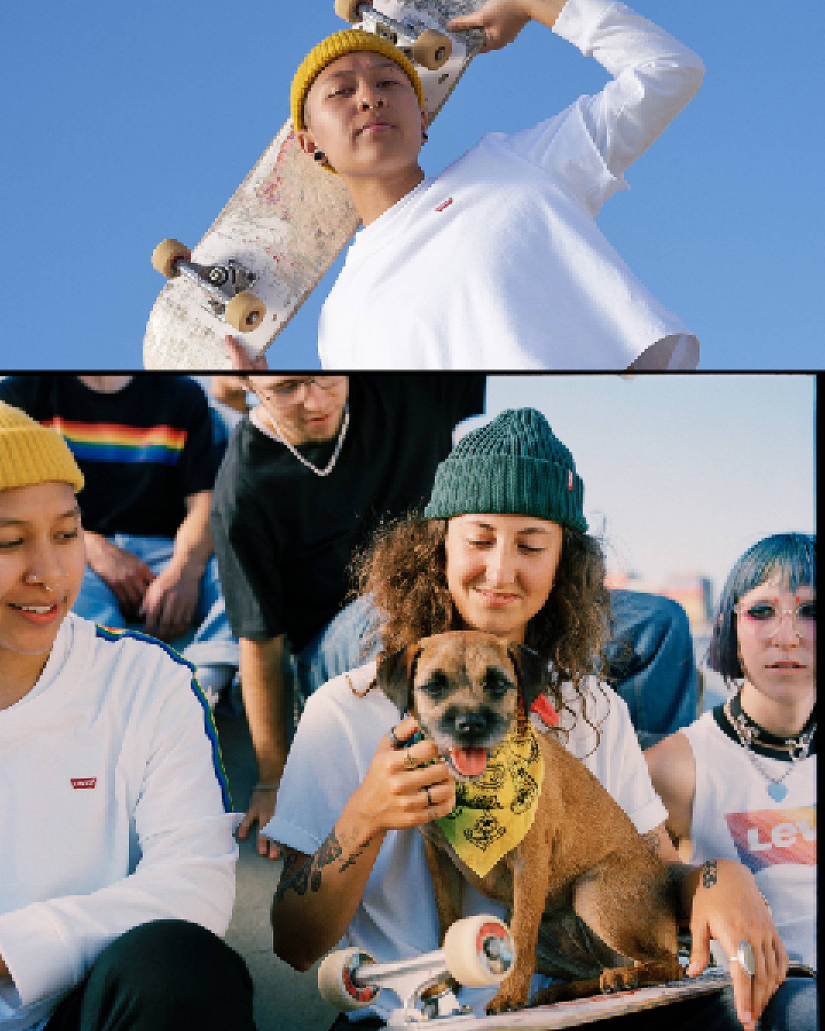 A photo of someone holding a skateboard and a group of shot of three individuals with one holding a dog