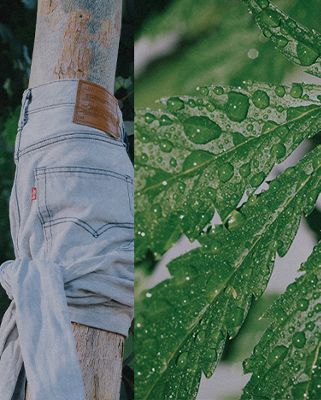Hemp leaf and sustainable coton jeans