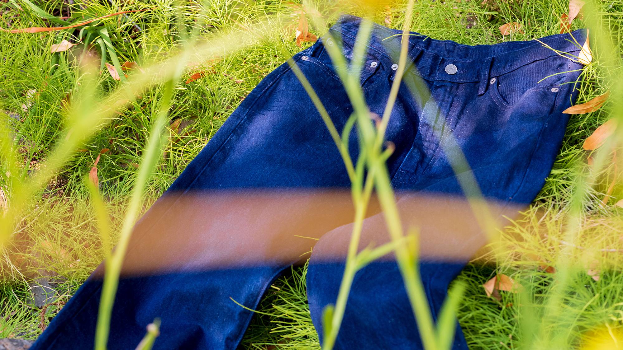 Levi's denim jeans dark blue wash laid down in a field of tall grass