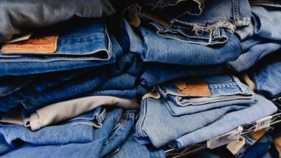 Image of Levi's jeans.