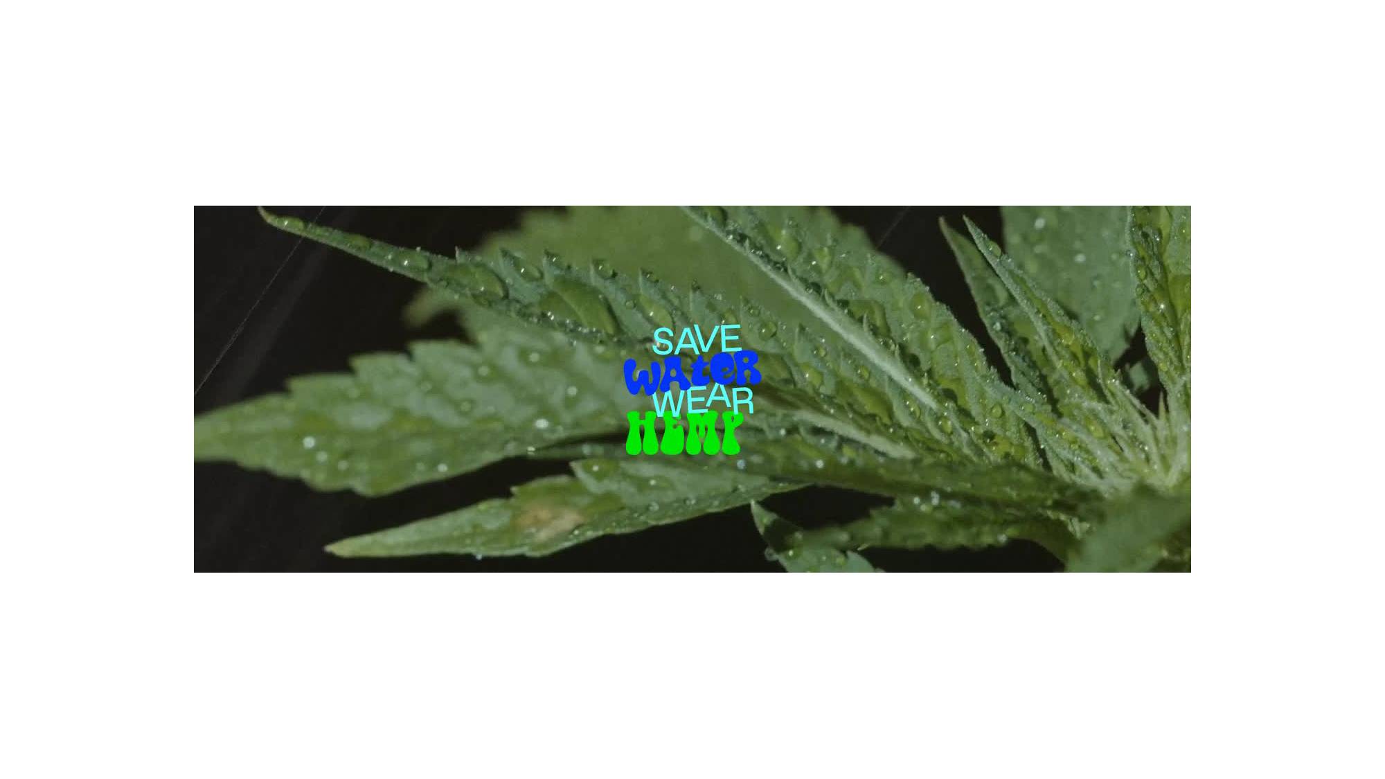 A leaf with the words, "Save Water, wear hemp" written over the top