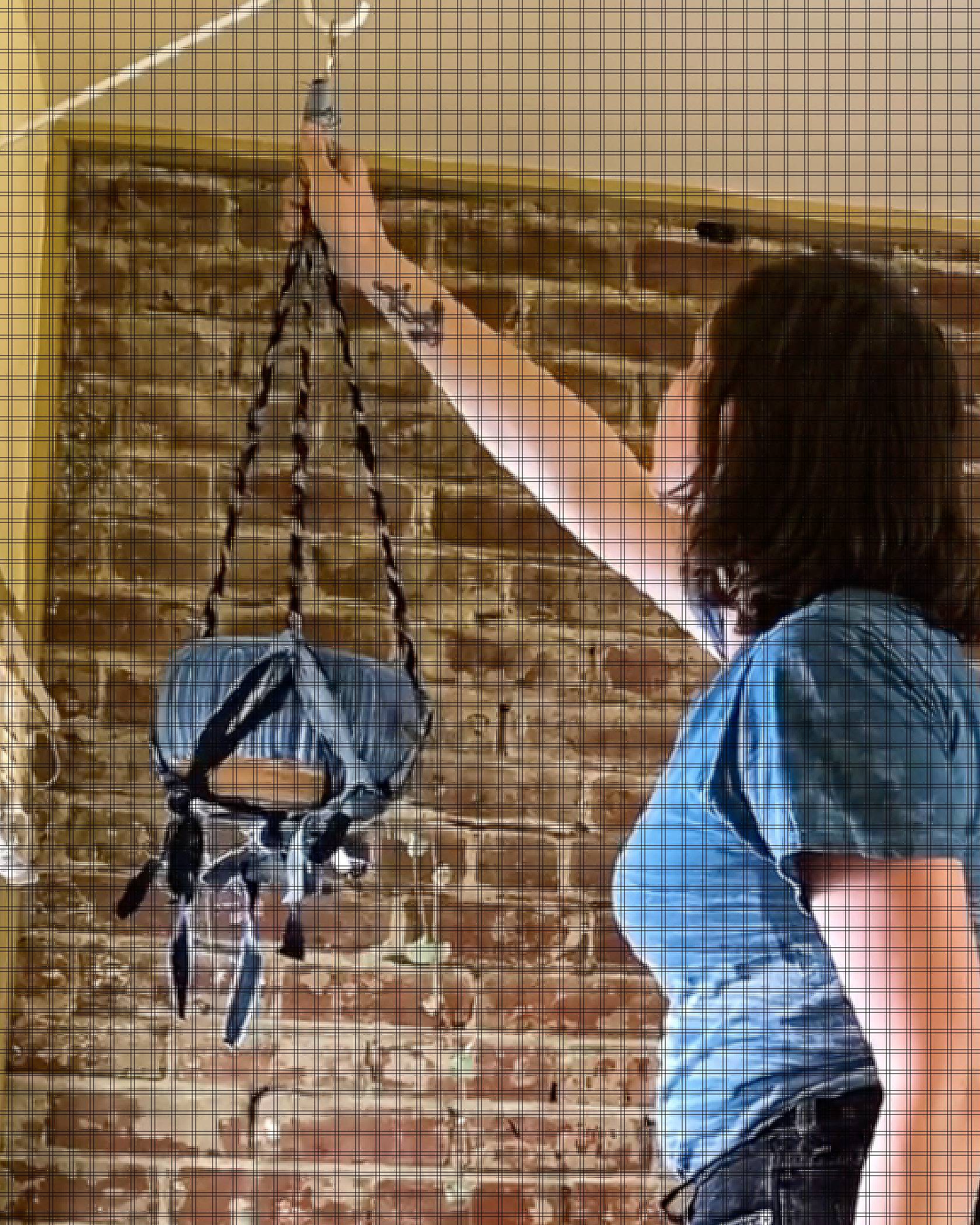 woman hanging denim plant holder