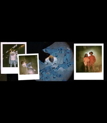 Brema looking up at the ceiling, standing on jeans.