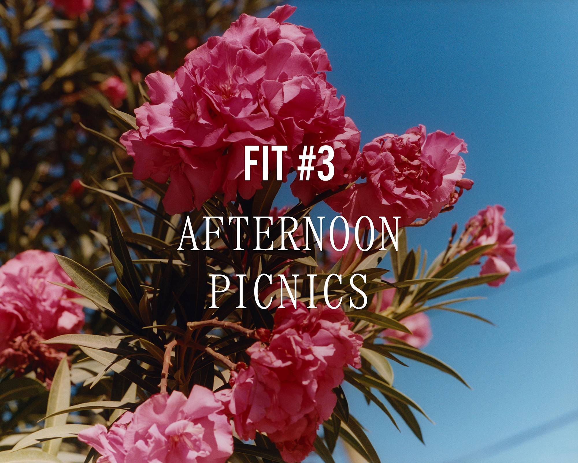 Image of pink flowers with overlaid text "Fit #3 AFTERNOON PICNICS"