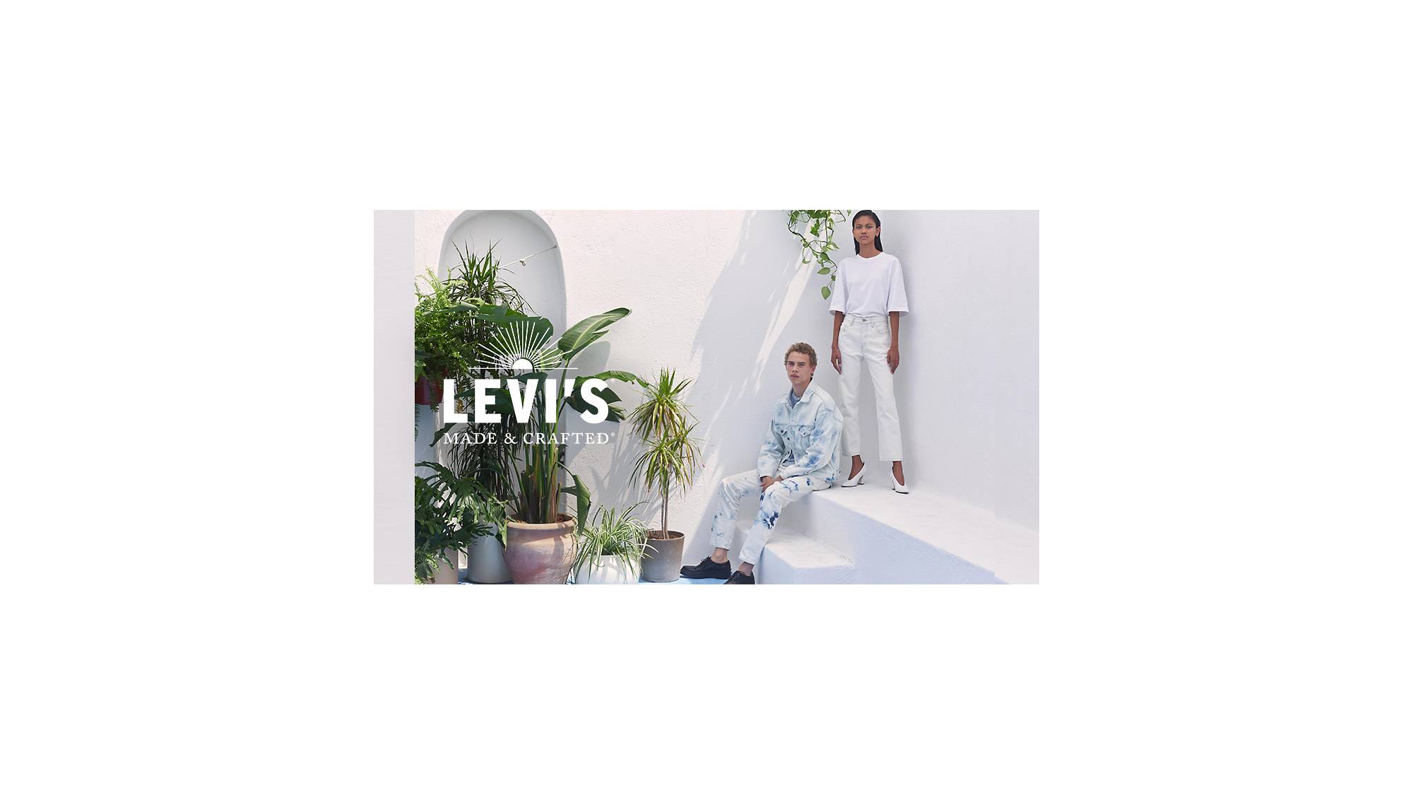 Levi's LMC Blog header.