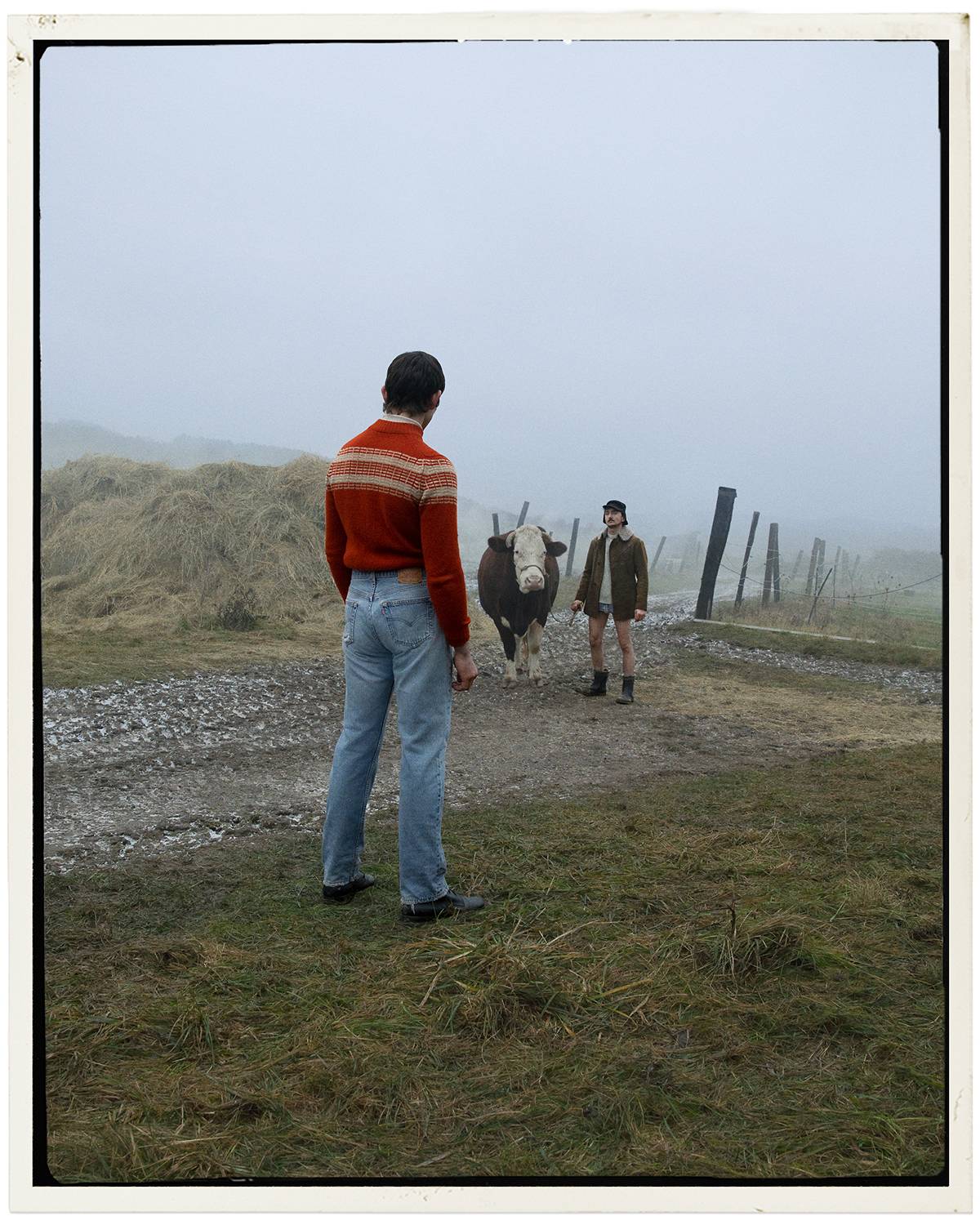 A person wearing Levi's jeans in a grassy area looking at a cow walking towards him with a man.