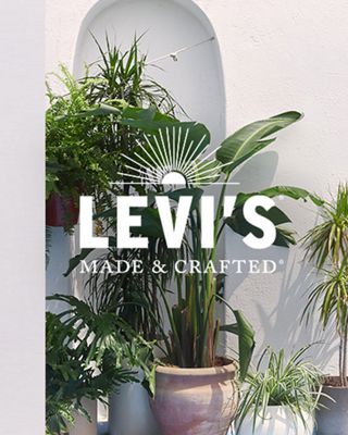 Levi's LMC Blog header.