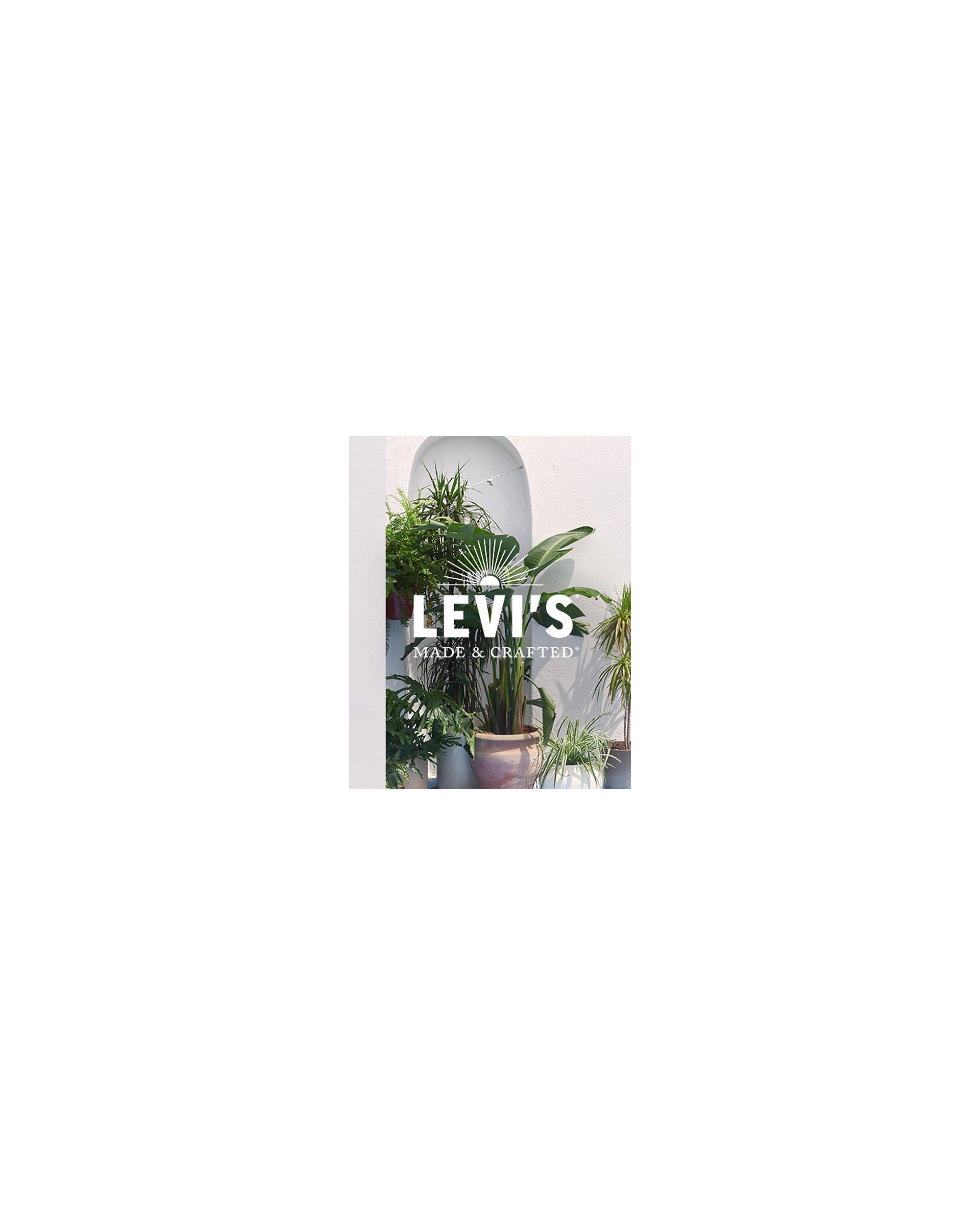 Levi's LMC Blog header.