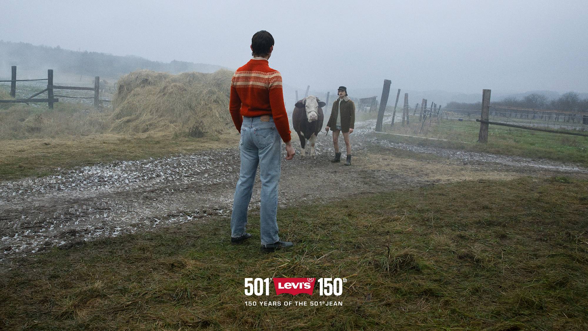 Guy standing in a grassy area wearing 501 jeans, looking away towards a cow and man walking towards him.