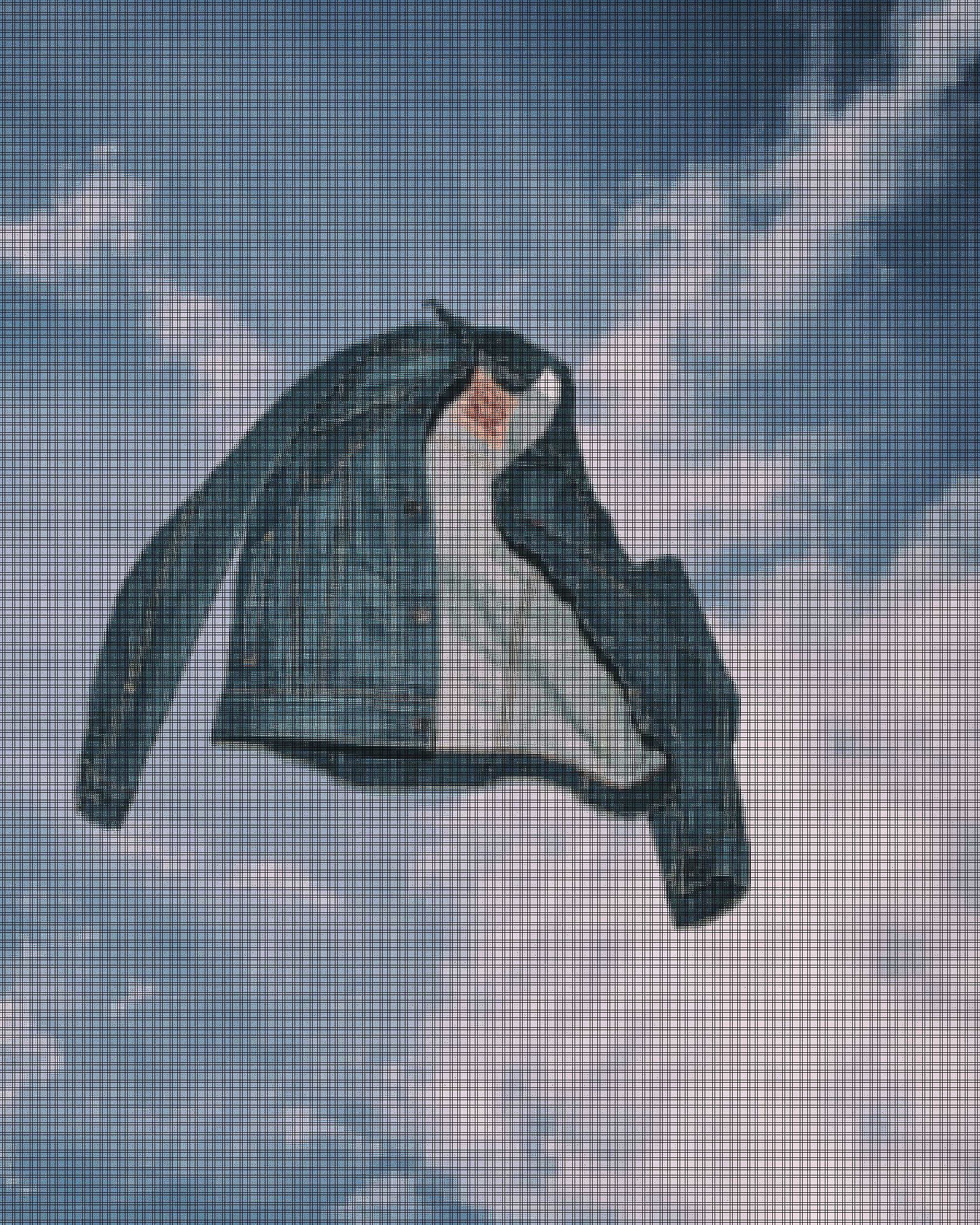 Levi's jacket in the air