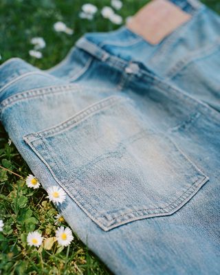 Image of jeans on grass