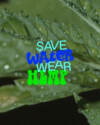 A leaf with the words, "Save Water, wear hemp" written over the top
