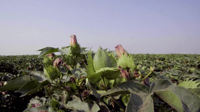 Our most sustainably designed collection